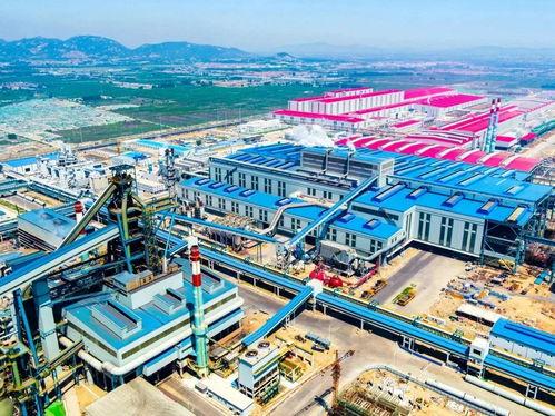 山东日照爆料新闻最新消息,突发事件引发关注，详情即将揭晓